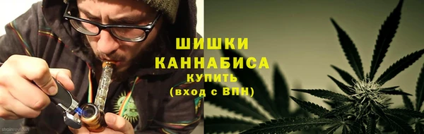 мдпв Верея